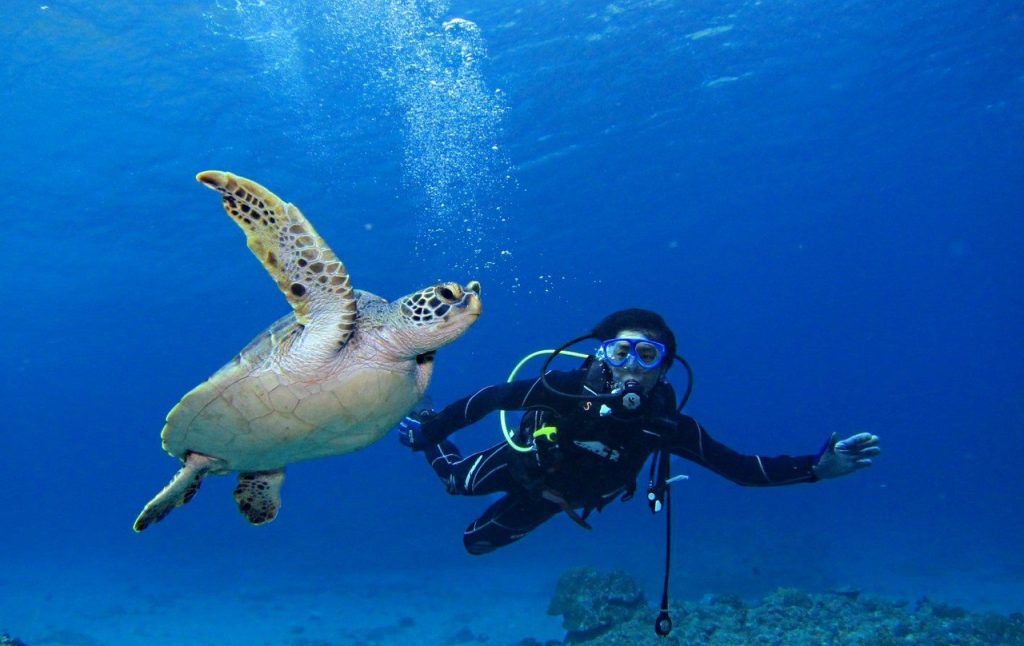 Okinawa Diving