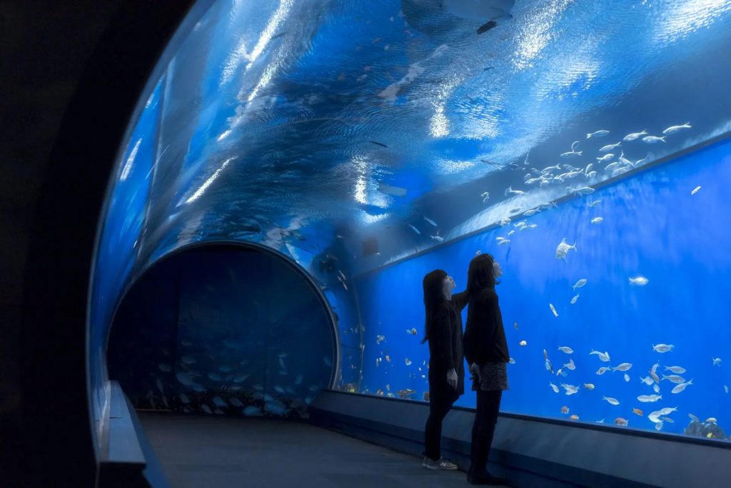 Osaka Aquarium Kaiyukan