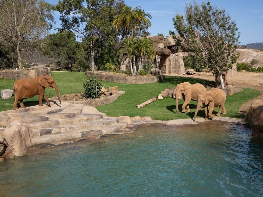 San Diego Zoo 