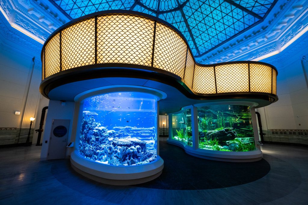 Shedd Aquarium, Chicago