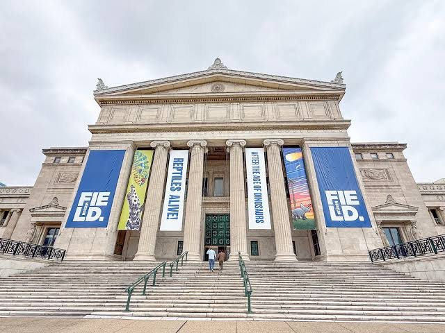 The Field Museum of Natural History, ChicagoThe Field Museum of Natural History, Chicago