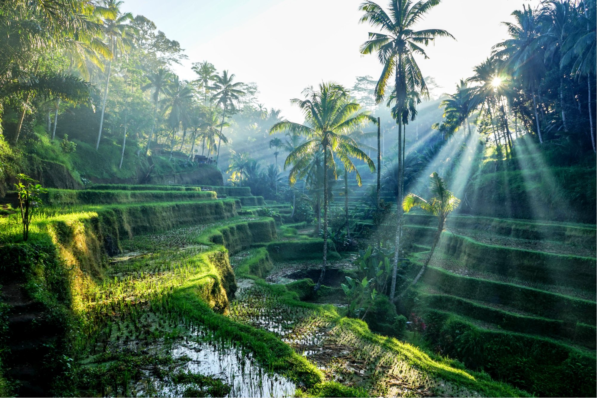 Ubud, Bali