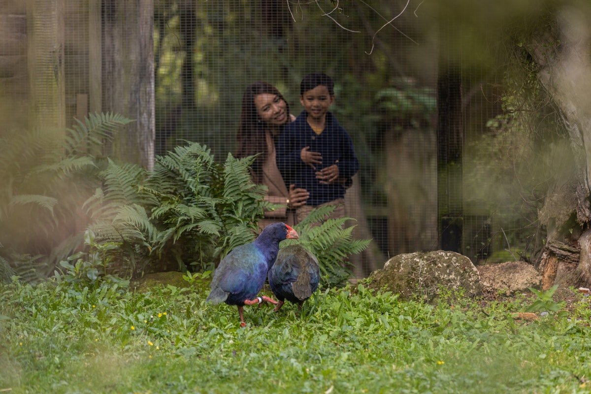 Willowbank Wildlife Reserve, Auckland