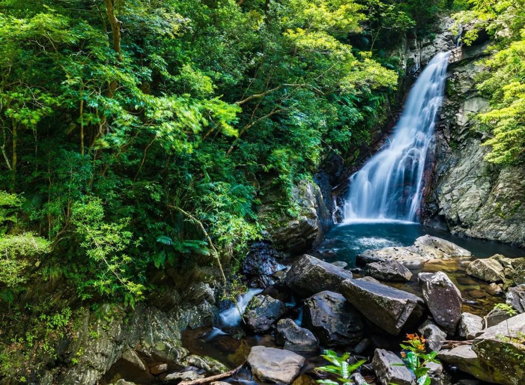 Yanbaru National Park, Okinawa