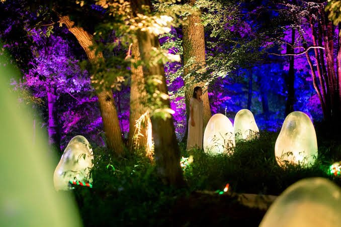 teamLab Botanical Garden Osaka, Japan
