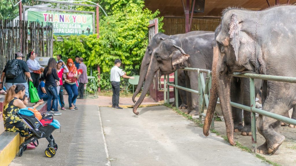A'Famosa Safari Wonderland, Malacca