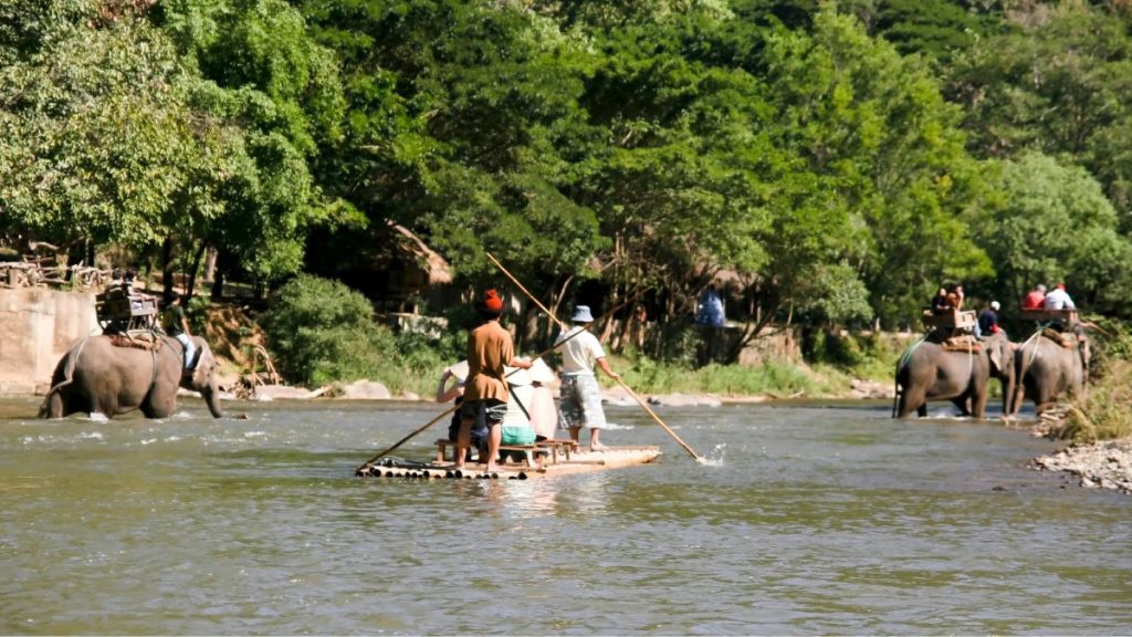 Bamboo rafting on the Mae Wang River