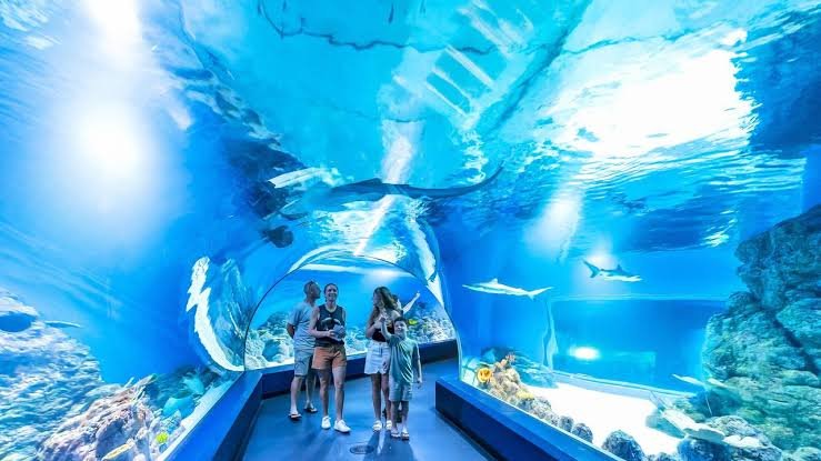 Cairns Aquarium