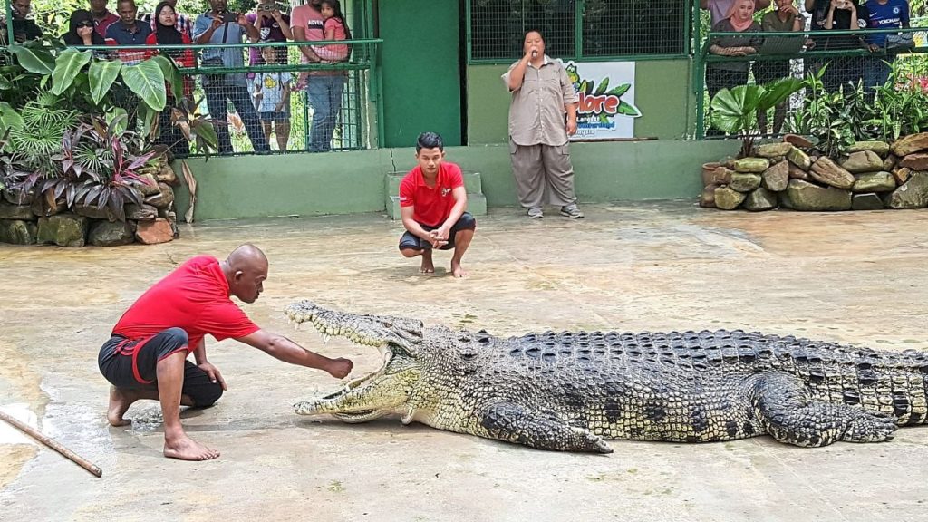 Crocodile Adventureland, Langkawi