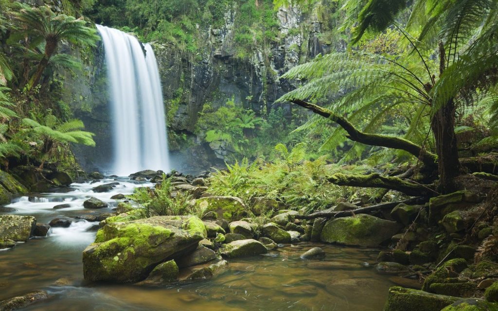 Daintree, Cairns