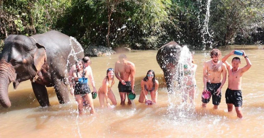 Hug elephant sanctuary, chiang mai