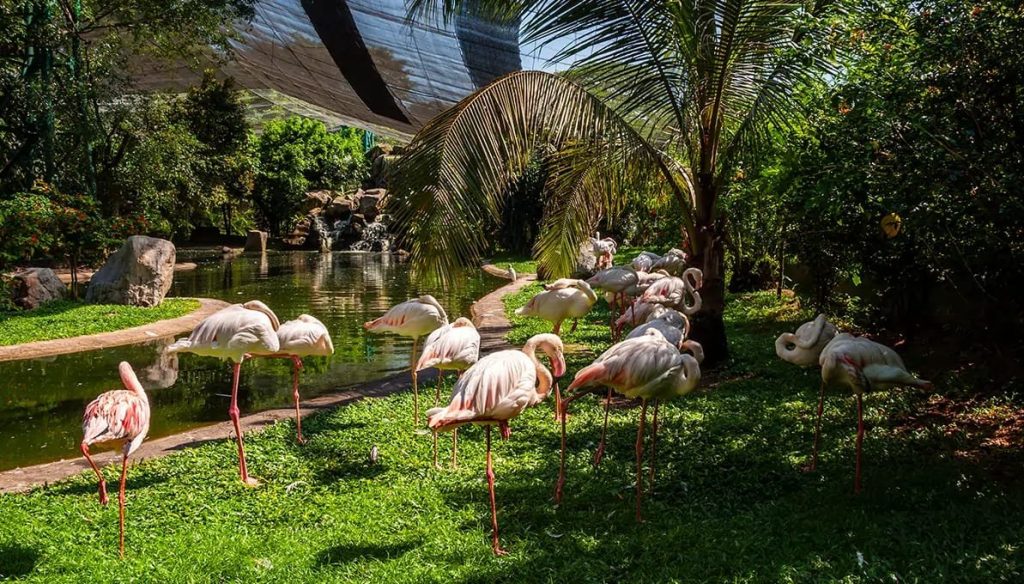 KL Bird Park