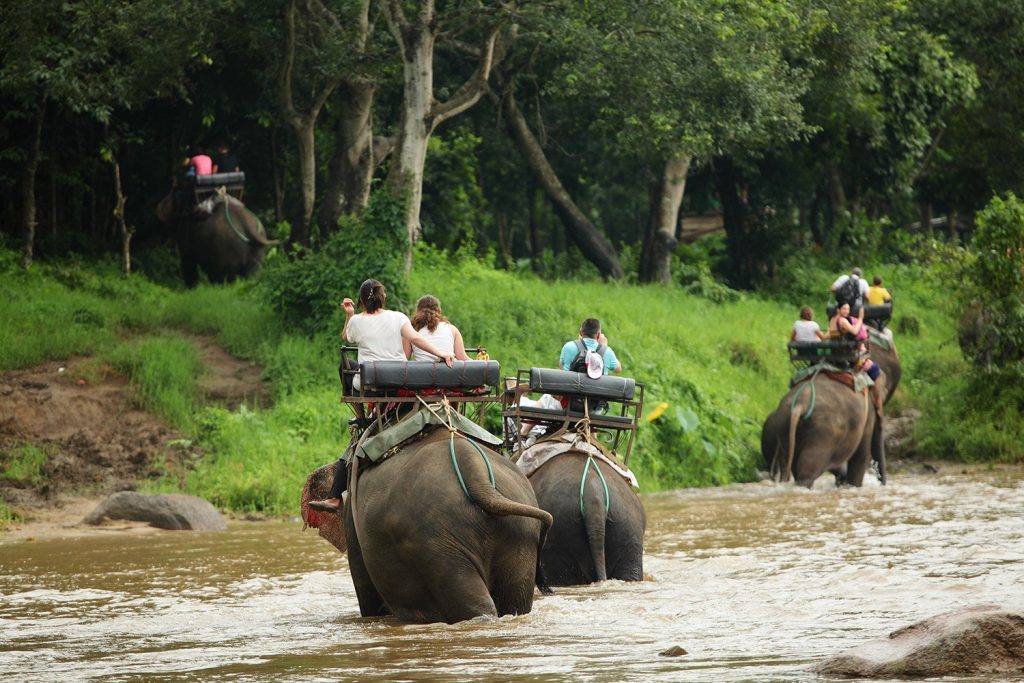 Mae Taeng Hills, chiang mai