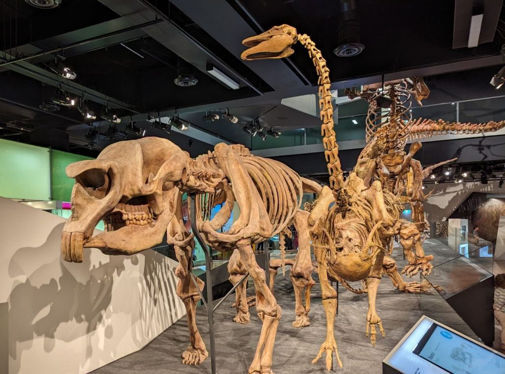 Melbourne Museum