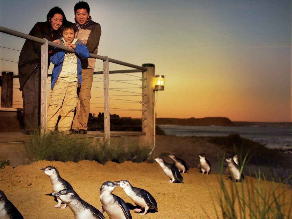 Philip Island, Melbourne