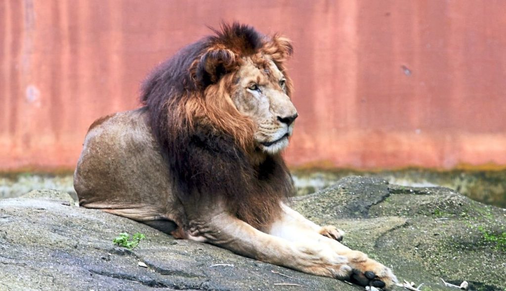 Zoo Melaka
