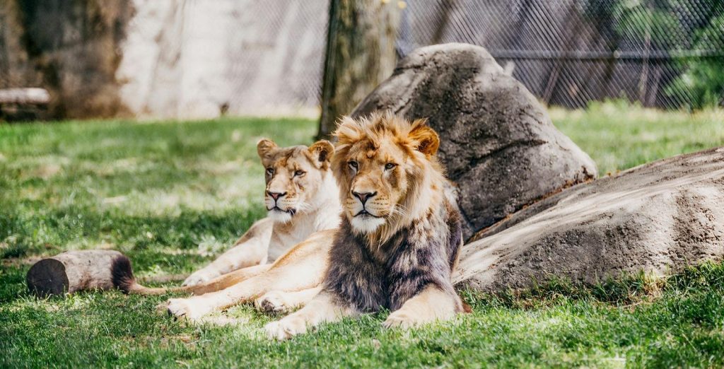 Zoo Melaka