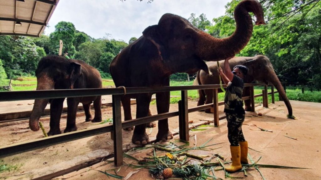 Zoo Melaka
